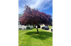 3250 Mayfair Road, Akron, OH 44312