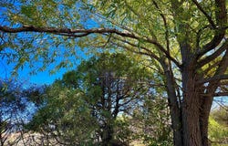 402 B Hondo Seco Rd, El Prado, NM 87514