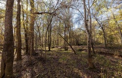 County Road 1135, Kennard, TX 75835