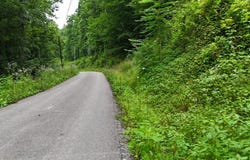 Yellow Creek Rd, Louisa, KY 41230