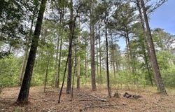 1 Highway 483, Morton, MS 39117
