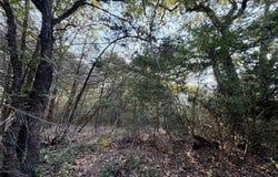 LCR 894, Groesbeck, TX 76642