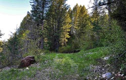 237 Marten Drive, Lava Hot Springs, ID 83246