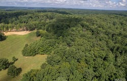 Monday Lane, Williamsville, MO 63967