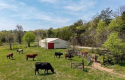 305 Ingram Road, Pulaski, TN 38478