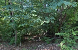 691 Castlecliff Road, Ballwin, MO 63021