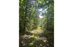 Coal Road Loop, Crofton, KY 42217