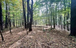 Whiteport Rd, Kingston, NY 12401