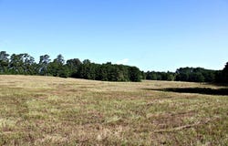 6385 County Road 425, Jasper, TX 75951