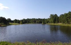 CR 46, Tyler, TX 75704