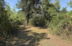 DOUBLE BRIDGE ROAD lot: 2.2, Bernice, LA 71277