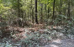 Moran Street, Haughton, LA 71037