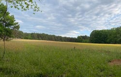 330 LICK CREEK Rd, Michie, TN 38357