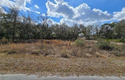 6436 Yam Street, Webster, FL 33597