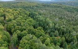 Wood Yard Crossing lot: 5, Pittsburg, NH 03592