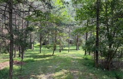 3.12 AC Lot 2 UPPER SKAGGS RUN RD, BAKER, WV 26801