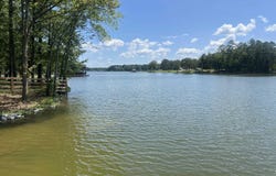 County Road 131 lot: 3, Cedar Bluff, AL 35959