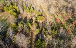 Artis Ln, Conway, AR 72034