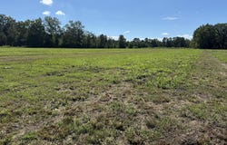 15844 Ace Basin (Lot #3) Parkway, Round O, SC 29474