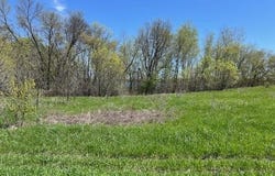 Alum Trail lot: 11, Grey Eagle, MN 56336