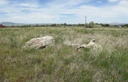 143 Southfork Rd, Cody, WY 82414