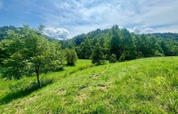 1548 Providence Road, Elizabeth, WV 26143