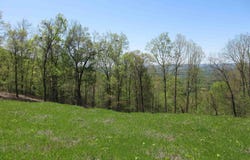 44 Highway 117, Flat Rock, AL 35966