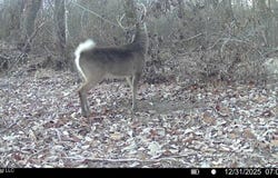 6 Cut Off Road, Carthage, MS 39051