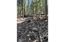 Straight St, Cloudcroft, NM 88317-9800