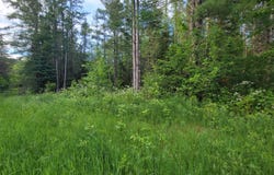 ON BRADY LN, Elcho, WI 54428