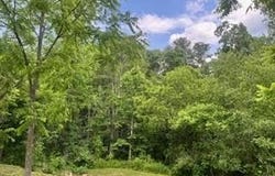 Jarrell Street, BECKLEY, WV 25801