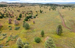 County Rd N1334, Greer, AZ 85927