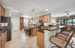 20377 Black Tree Lane, Estero, FL 33928