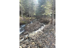 Flying Eagle Lot 19, Harrison, ID 83833