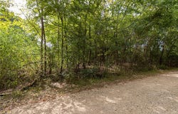185 Hackberry, Bullard, TX 75757