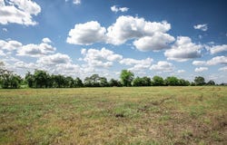 11105 Harmon School Road, Burton, TX 77835