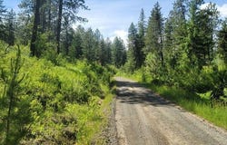 NNA W Reality Loop, Coeur d'Alene, ID 83814