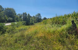 7132 S State Road 129 lot: 1, Versailles, IN 47042