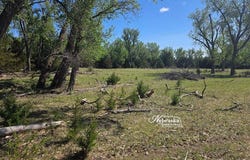 40001 Road 398, Bartley, NE 69020