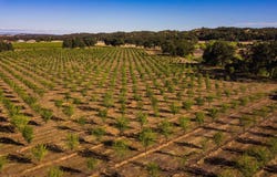 10370 Briggs Road, Red Bluff, CA 96080