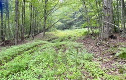 174 High Peak Road, Windham, NY 12496