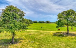 Tract 3 Three Quarter Loop, Poolville, TX 76487