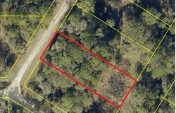 Bedstone Drive, Webster, FL 33597