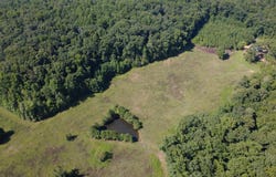 county 1171, Cullman, AL 35057