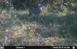 N80 Helt Rd, Antlers, OK 74525