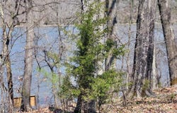 Emerald Hills Drive, Edwards, MO 65326