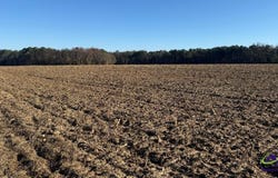 Whitfield Road, Elko, GA 31025