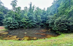 Azalea Way lot: 6, Saluda, NC 28773