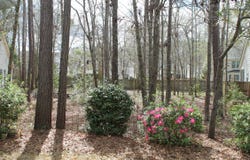 228 Comiskey Park Circle, Summerville, SC 29485