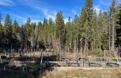 721 White Oak Rd, Hayfork, CA 96041